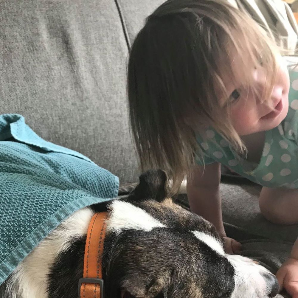 Meet your Posher, Bailey